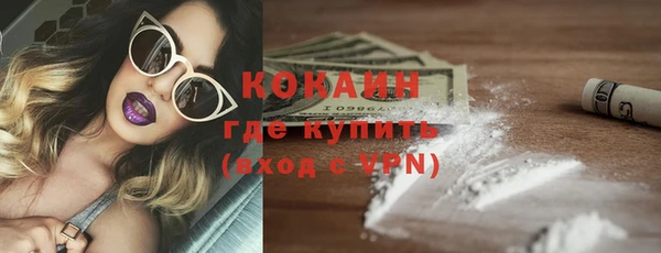 прущие грибы Белоозёрский