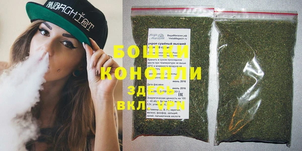 прущие грибы Белоозёрский