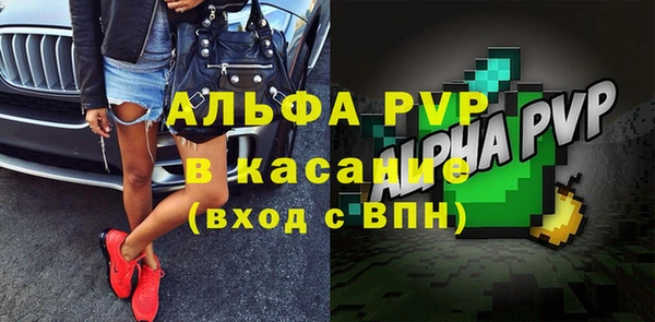 прущие грибы Белоозёрский