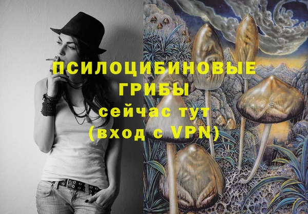 spice Белокуриха