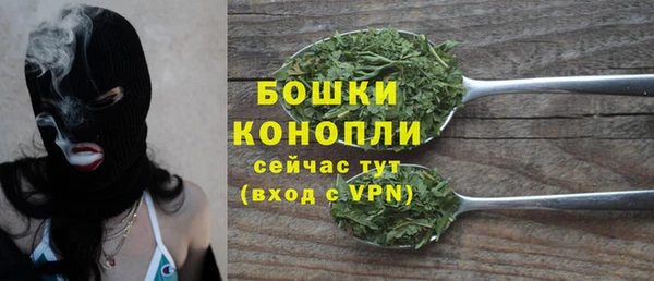 прущие грибы Белоозёрский