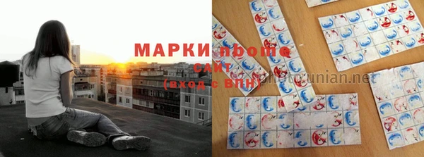 прущие грибы Белоозёрский