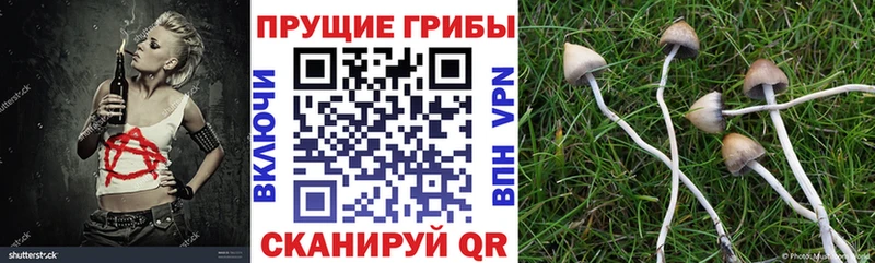 купить наркотики сайты KRAKEN ССЫЛКА Галлюциногенные грибы Cubensis Окуловка